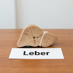 Kann Viagra oder Sildenafil die Leberfunktion beeinträchtigen oder Schäden bei Patienten mit Lebererkrankungen oder Zirrhose verursachen?