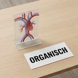 Ursachen und Definition der organischen erektilen Dysfunktion.